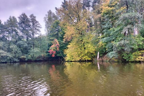 Wdecki Park Krajobrazowy